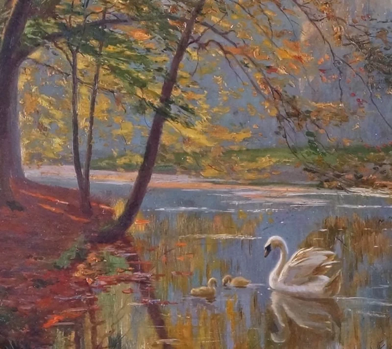 Il cigno e i suoi piccoli in autunno - dettaglio